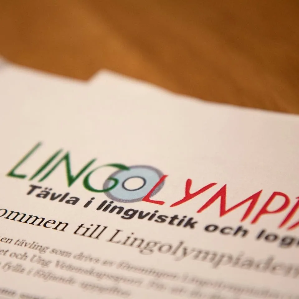 lingo